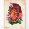 Anatomie du rein - Floral - Vieux papier
