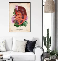 Anatomie du rein - Floral - Vieux papier