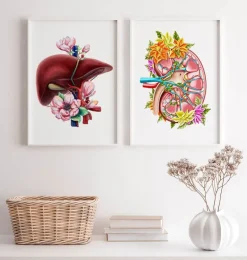 Anatomie du rein II - Floral - Blanc