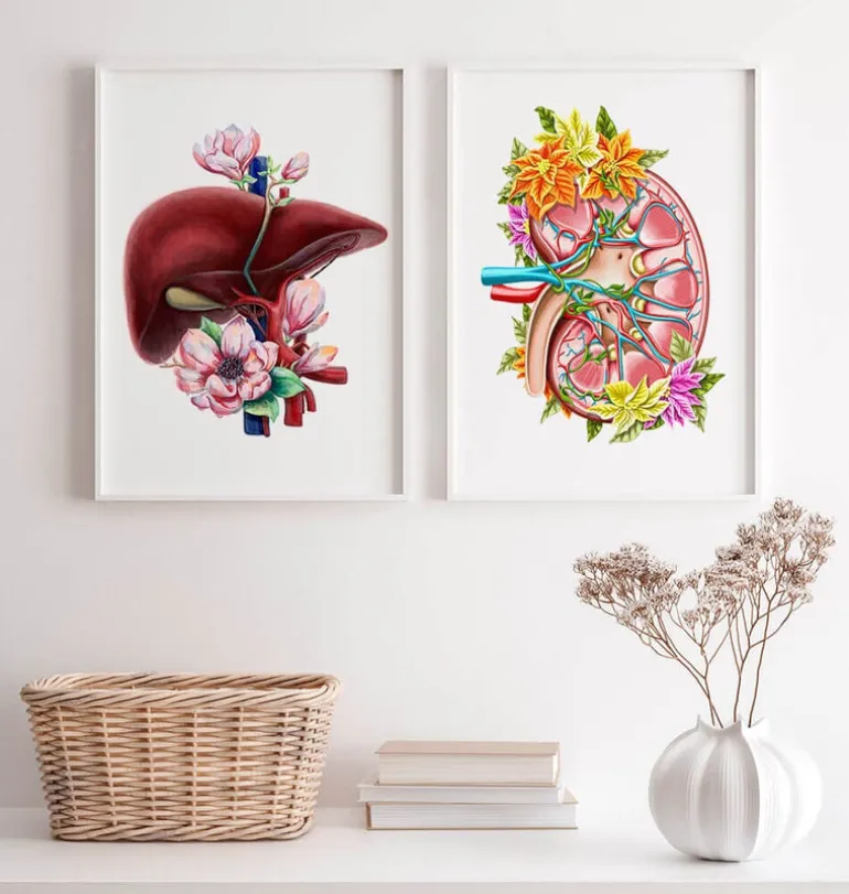 Anatomie du rein II - Floral - Blanc