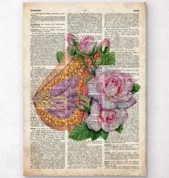 Anatomie du sein - Ancien dictionnaire