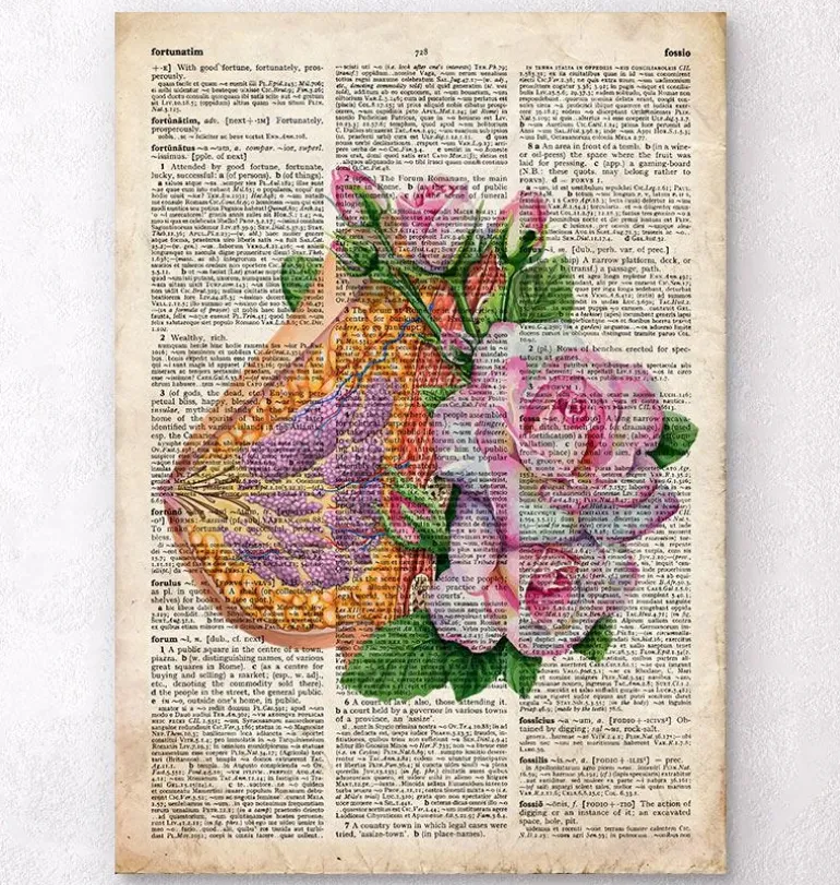 Anatomie du sein - Ancien dictionnaire