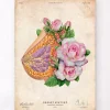 Anatomie du sein - Floral - Vieux papier