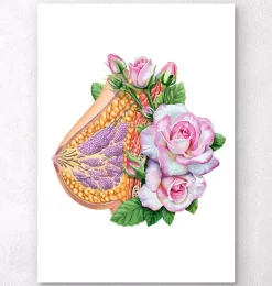 Anatomie du sein - Floral - Blanc