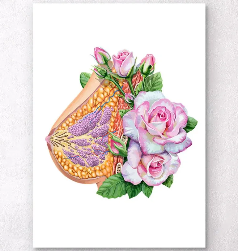 Anatomie du sein - Floral - Blanc