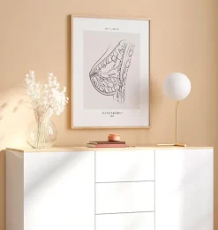 Anatomie du sein - Line Art