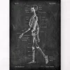 Anatomie du squelette - Chalkboard