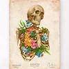 Anatomie du squelette - Floral - Vintage