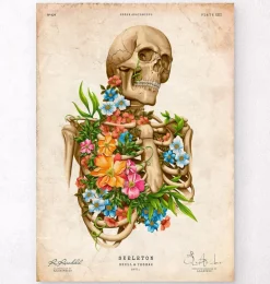 Anatomie du squelette - Floral - Vintage