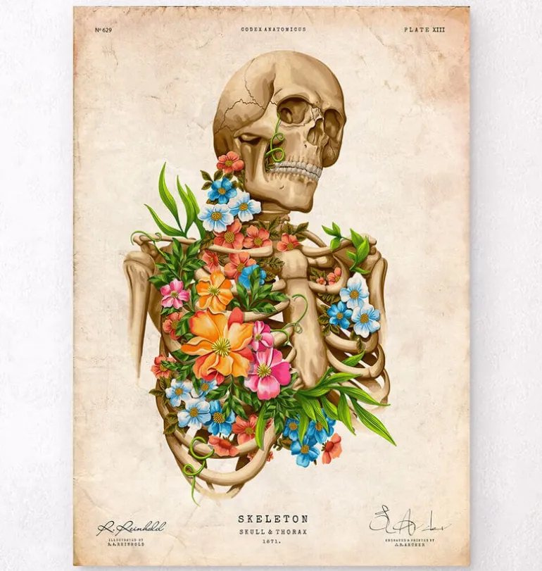 Anatomie du squelette - Floral - Vintage