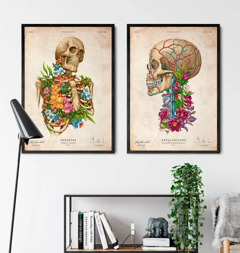 Anatomie du squelette - Floral - Vintage