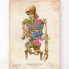 Anatomie du squelette II - Floral - Vintage