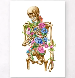 Anatomie du squelette II - Floral - Blanc