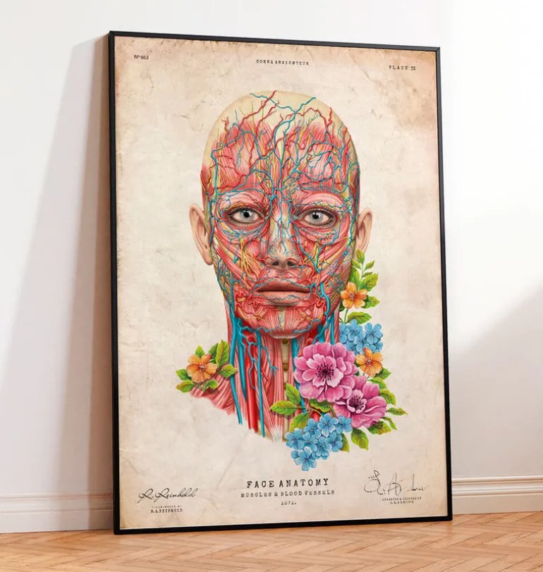 Anatomie du visage - Floral - Vintage