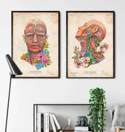 Anatomie du visage - Floral - Vintage