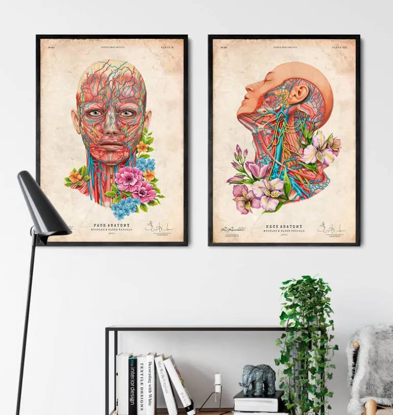 Anatomie du visage - Floral - Vintage