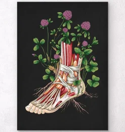 Anatomie florale du pied - Noir
