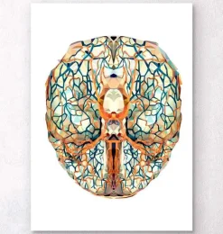 Anatomie géométrique du cerveau I