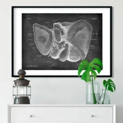 Anatomie hépatique - Chalkboard