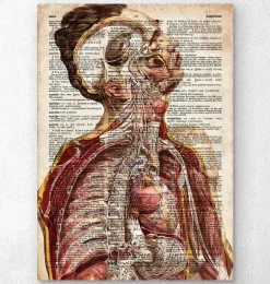Anatomie humaine géométrique II - Ancien dictionnaire