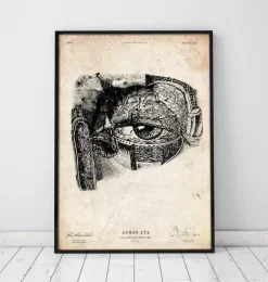 Anatomie oculaire