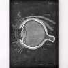 Anatomie oculaire - Chalkboard
