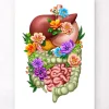 Appareil digestif - Floral - Blanc