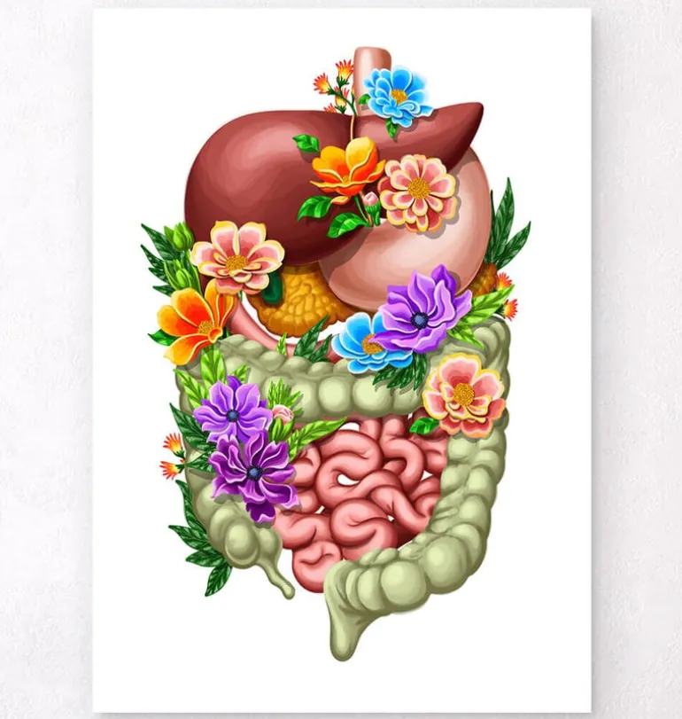 Appareil digestif - Floral - Blanc