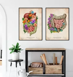 Appareil digestif - Floral - Vintage