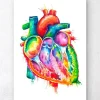 Art coeur anatomique - Aquarelle