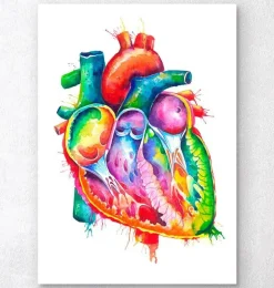 Art coeur anatomique - Aquarelle