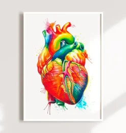 Art coeur anatomique - Aquarelle