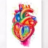 Art coeur anatomique III - Aquarelle
