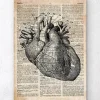 Art d'anatomie cardiaque - Ancien dictionnaire