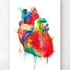 Art d'anatomie cardiaque - Aquarelle