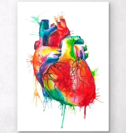Art d'anatomie cardiaque - Aquarelle