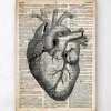 Art d'anatomie cardiaque II - Ancien dictionnaire