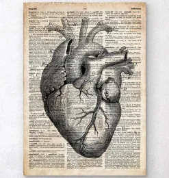 Art d'anatomie cardiaque II - Ancien dictionnaire