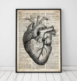 Art d'anatomie cardiaque II - Ancien dictionnaire
