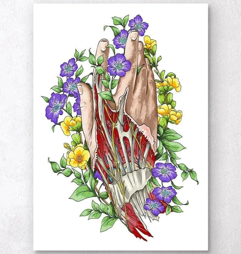 Art d'anatomie de la main - Blanc