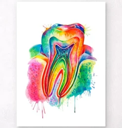 Art d'anatomie dentaire - Aquarelle