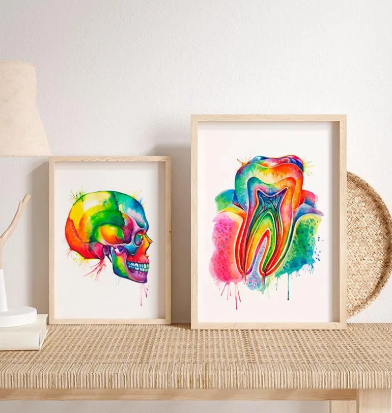 Art d'anatomie dentaire - Aquarelle
