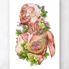 Art d'anatomie du corps féminin - Blanc
