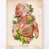 Art d'anatomie du corps féminin