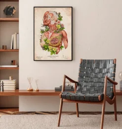 Art d'anatomie du corps féminin