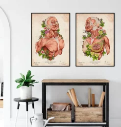 Art d'anatomie du corps féminin