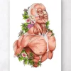 Art d'anatomie du corps masculin - Blanc