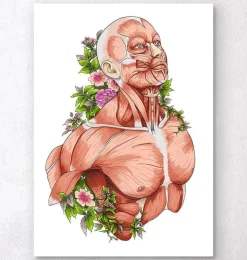 Art d'anatomie du corps masculin - Blanc