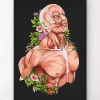 Art d'anatomie du corps masculin - Noir