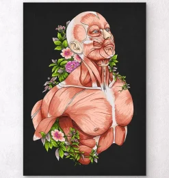 Art d'anatomie du corps masculin - Noir